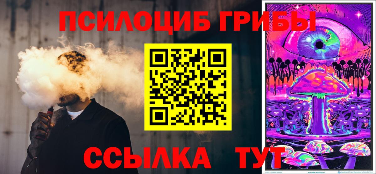 Галлюциногенные грибы прущие грибы  Вход с VPN  Кохма 
